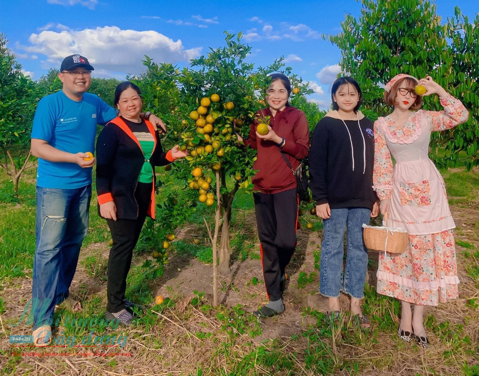 Chàng cử nhân bỏ phố về rừng làm nông nghiệp sạch trên đất cao nguyên